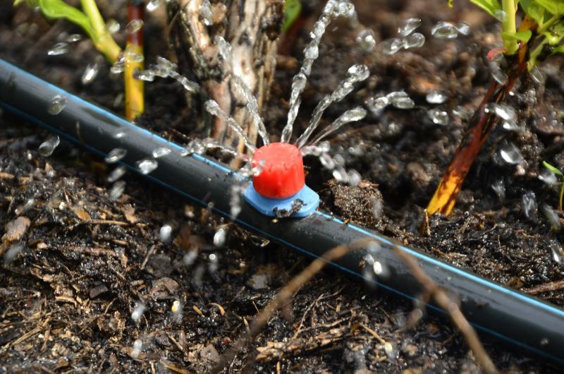 Drip Irrigation Systems
