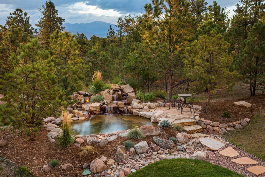 Pond Installation