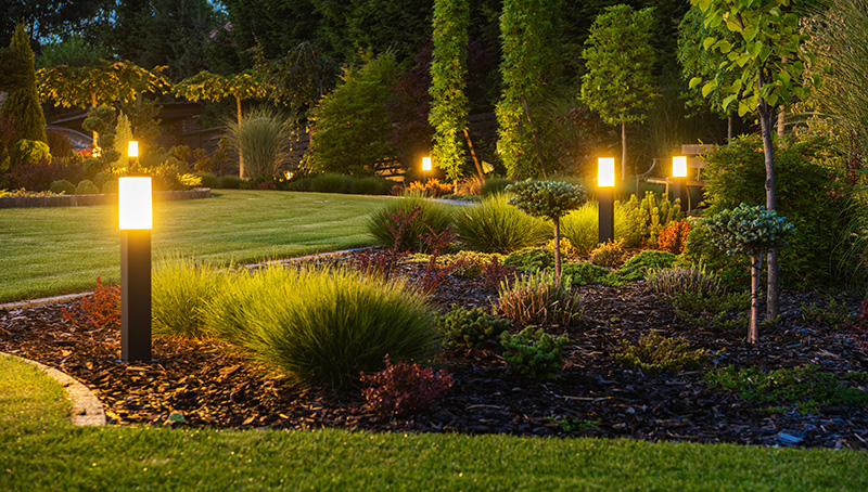 Colorado Xeriscaping