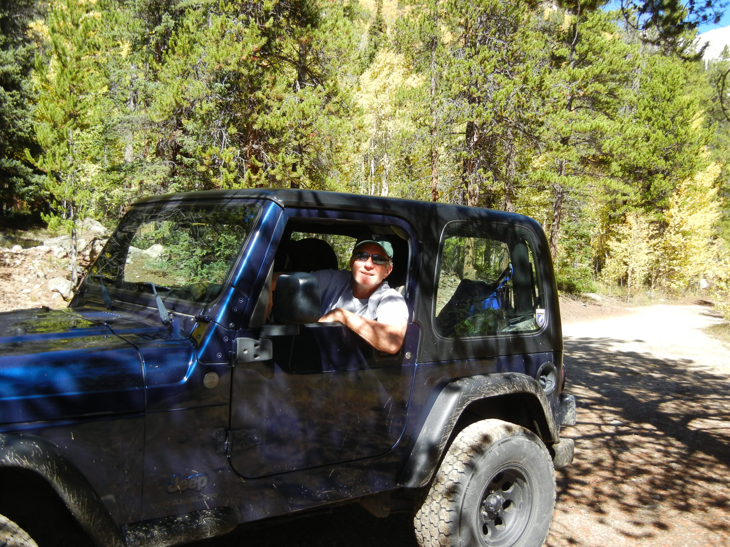 Urban Forestry Maintenance Colorado